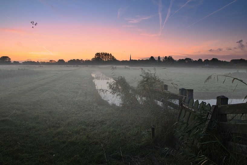 polder bei alkmaar in nebel gehüllt von peterheinspictures