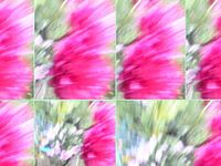 Juste une impression par Elle Hart