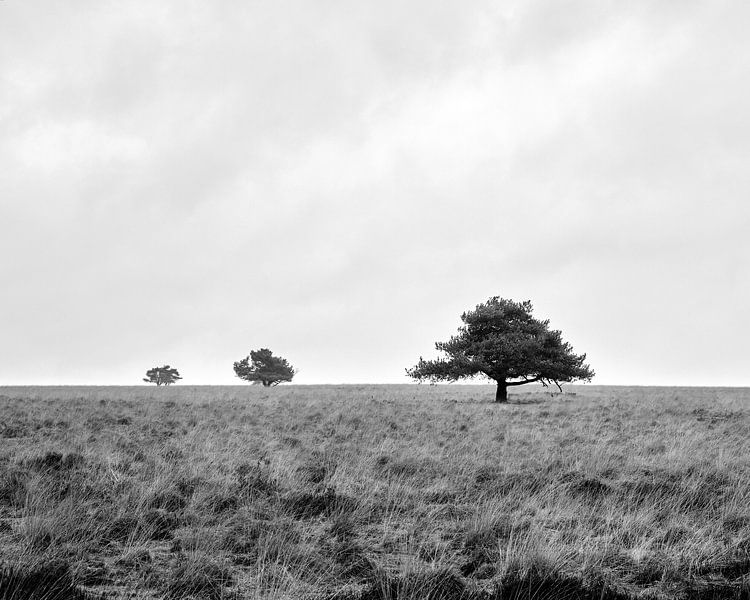 One two tree van Geert van Atteveld
