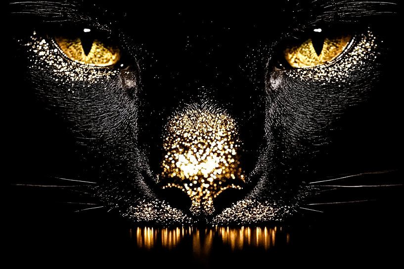 Chat noir avec détails dorés par Imperial Art House