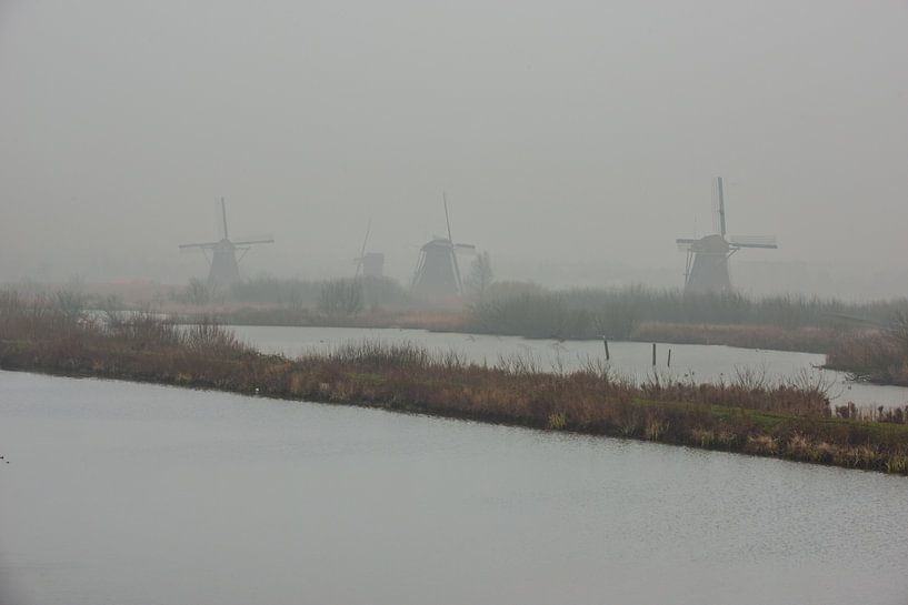 windmolens langs de kinderdijk in de mist van Brian Morgan