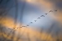 Der Winter ist im Anmarsch