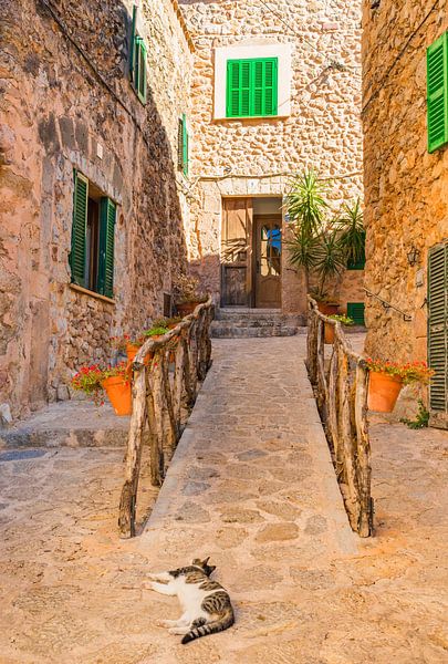 Idyllische Aussicht auf Valldemossa auf der Insel Mallorca, Spanien von Alex Winter