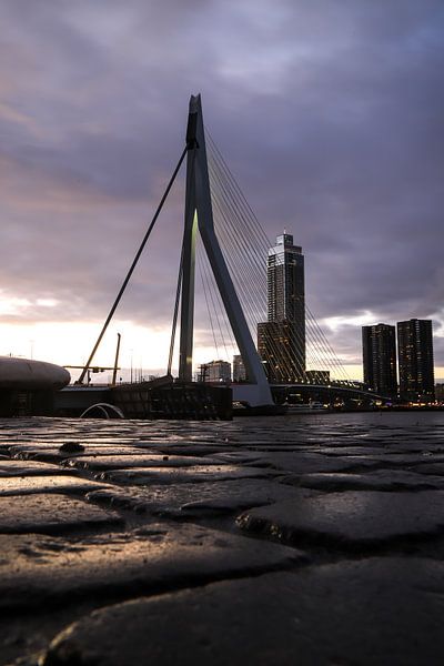 Pont Erasmus &amp;amp ; Tour du port de Salmon par SVPhotographie