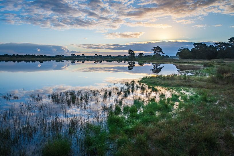 An der Grenze von Blau und Gold von Esther's Photos