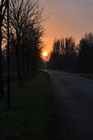 Offingawier in de avond