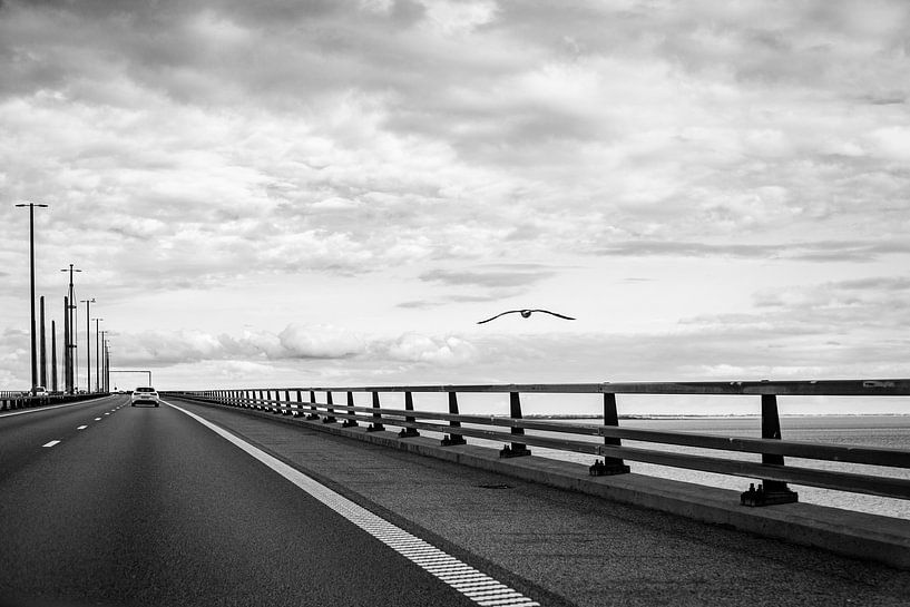 The road to freedom... by Linda Hutten
