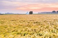 The Brintahuisje in Groningen