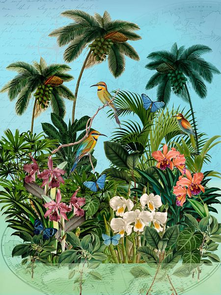 Neue Horizonte von christine b-b müller