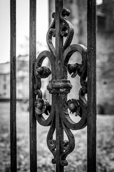 Iron fence by Roland Brack