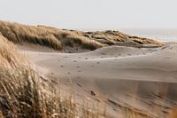 Winterliche Strandspaziergänge #1