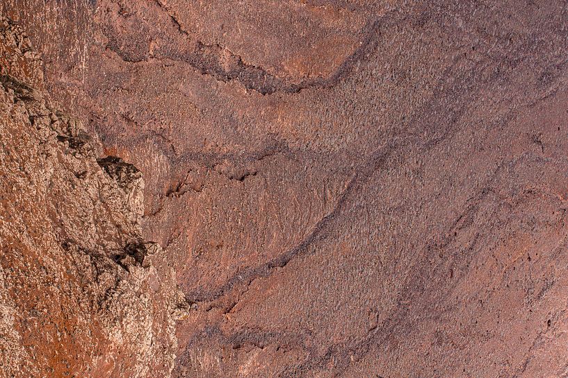 Red Sense von Michael Schulz-Dostal