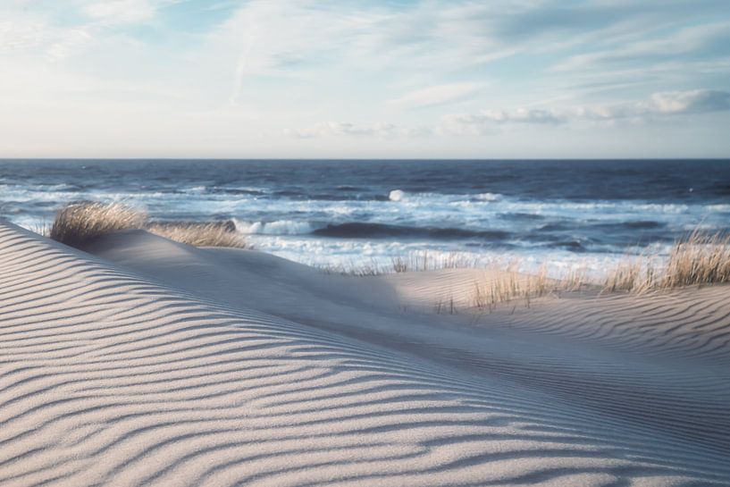 Winterdünen an der belgischen Küste von Rik Verslype