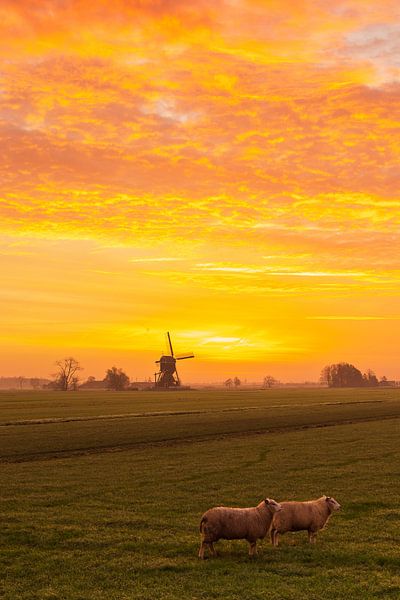 Le moulin de Weteringen avant et après le lever du soleil par Rob Saly