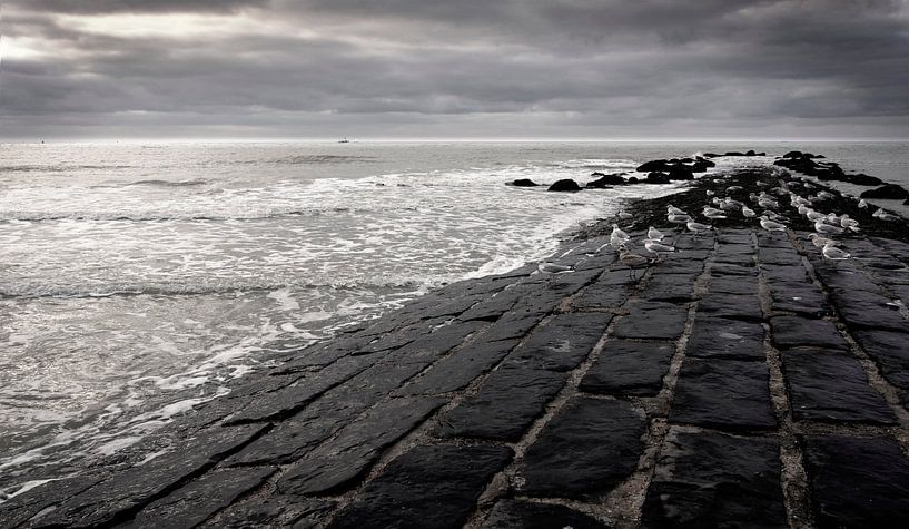 9300051 En attente par Adrien Hendrickx