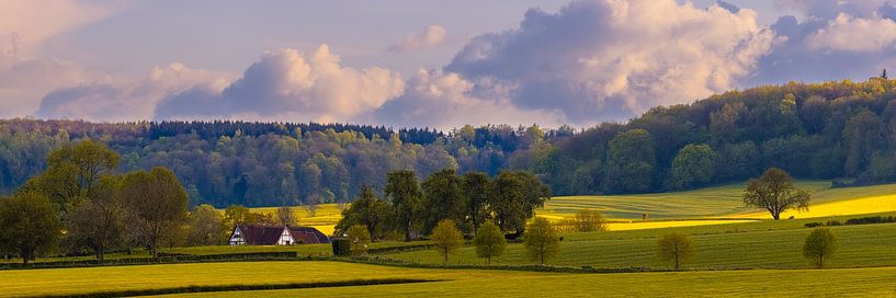 Panorama of the Limburg hills by Henk Meijer Photography