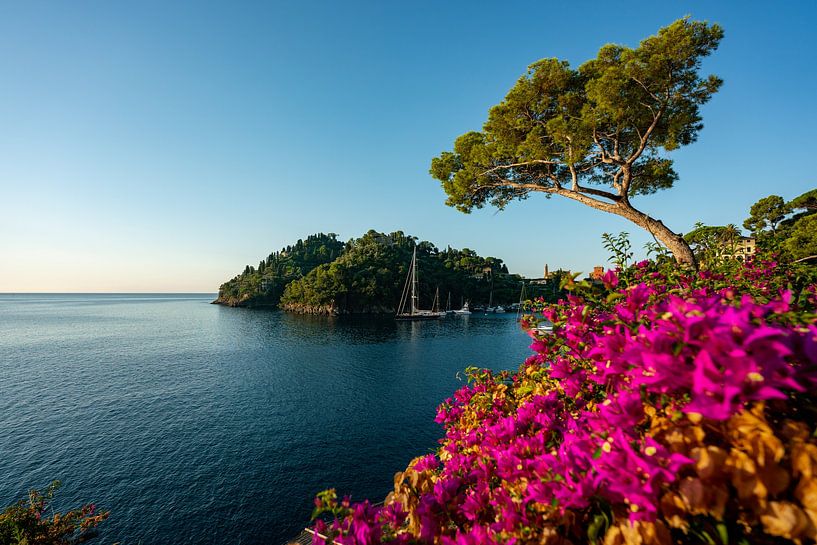 Côte fleurie à Portofino sur la côte ligurienne par Leo Schindzielorz
