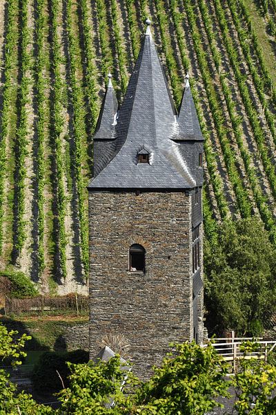 Tower, Vineyard, Bacharach, Middle Rhine by Torsten Krüger