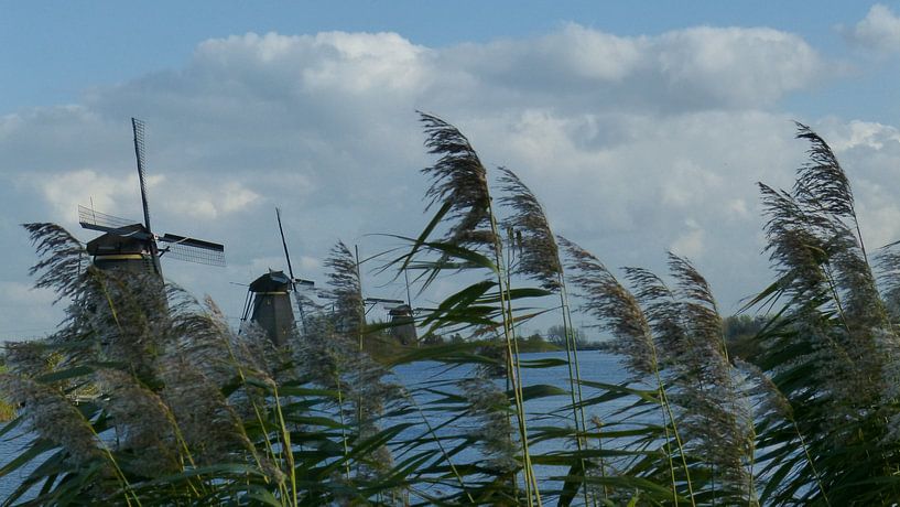 WIndmolens van Kinderdijk van Gijs van Veldhuizen