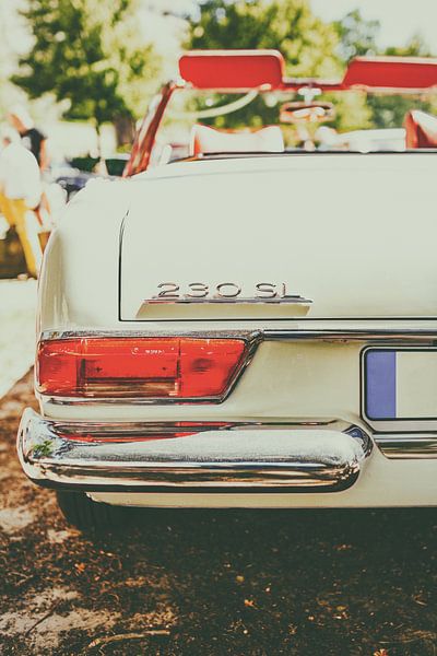 Mercedes Benz 230 SL by Edith Albuschat