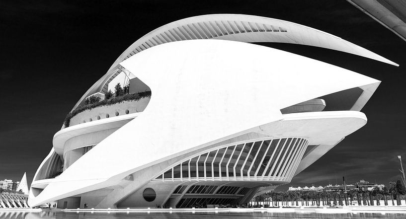 Palau de les Arts Reina Sofía von Rainer Pickhard