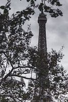 La Tour Eiffel