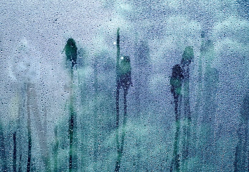 Regentropfen auf einem Fenster von Birgitte Bergman