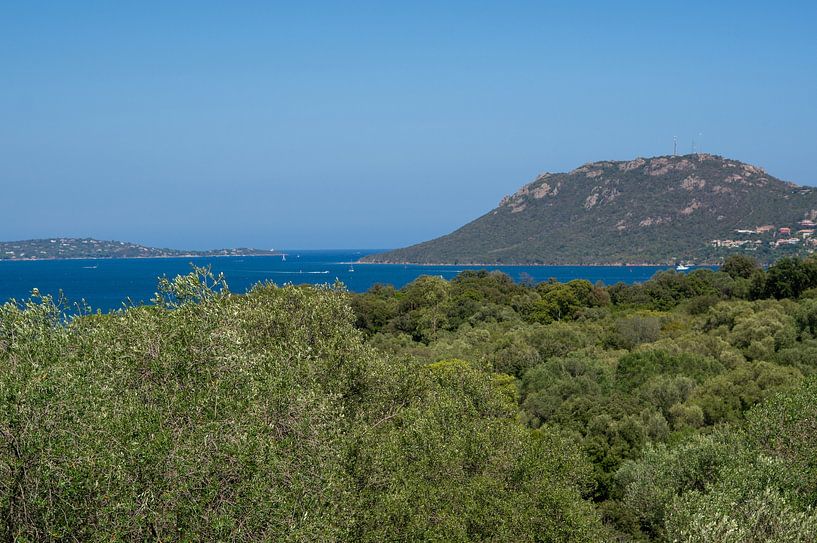 View of the sea and mountains on the coast of the Mediterranean island of Corsica by Animaflora PicsStock