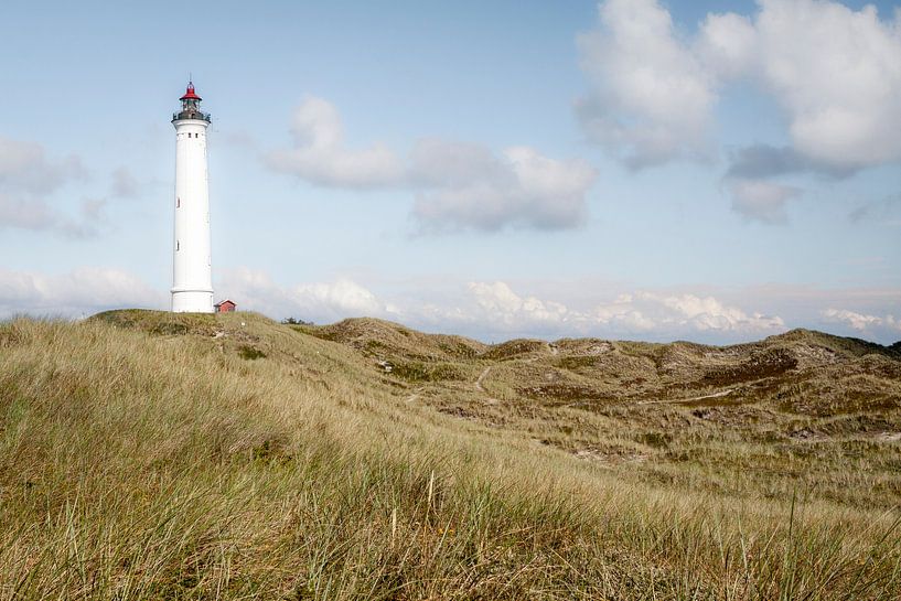 Lighthouse in the dunes of Denmark by Evelien Oerlemans