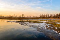 Überschwemmtes Land zu Beginn des Winters