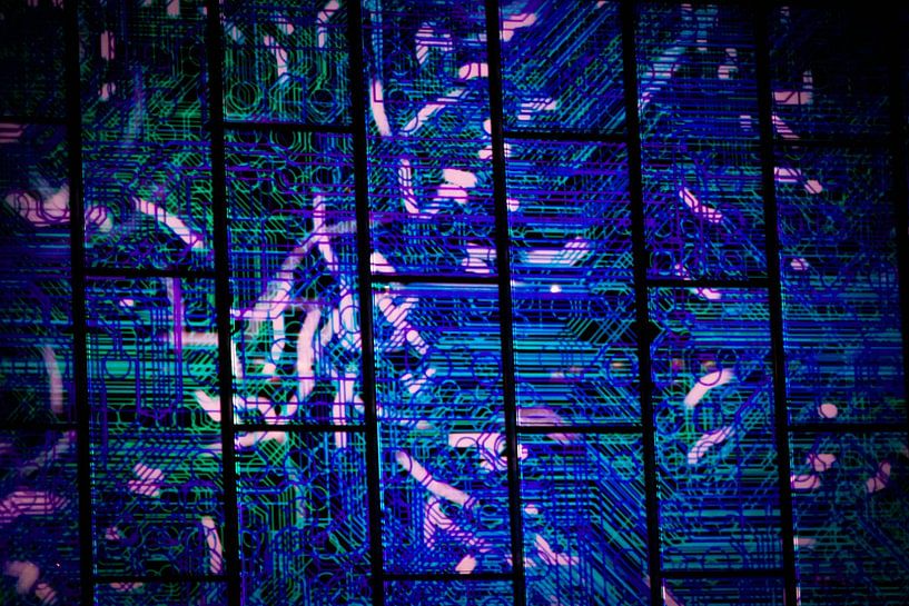 Données techniques de l'image par Kaylee Verschure