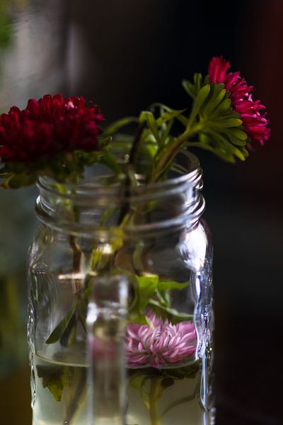 Asters d'été capturés dans un vase n° 4 par Erwin van Eekhout