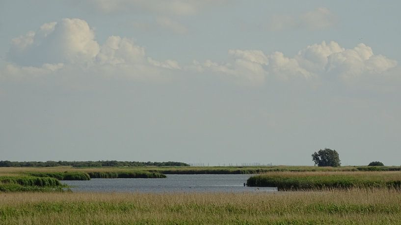 It Iselmar by Makkum van Koos van Woudenberg