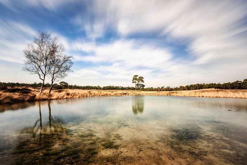 Heidestein von Cho Tang