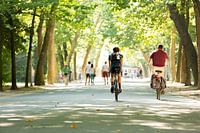 Man on racebike in a sunny Amsterdam Vondelpark