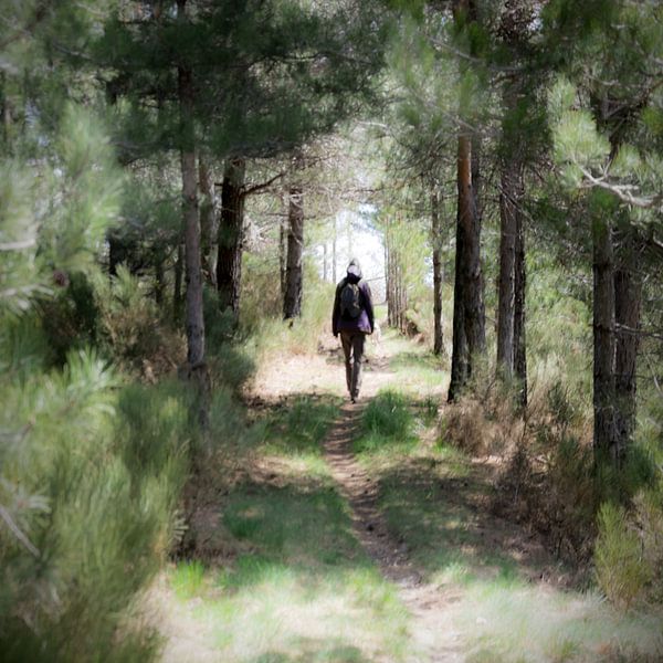 promenade von Alain Ulmer