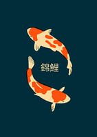 Koi