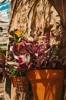 Valldemossa - Mallorca - Spanien