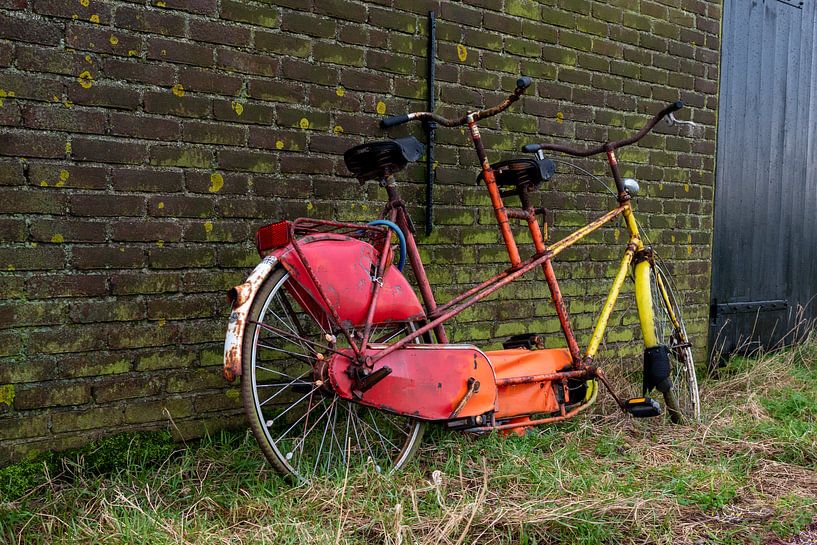 Old tandem bike against a wall by Michel Knikker