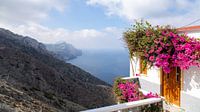 Vue sur la mer, maison blanche avec des fleurs, Olympos Karpathos Grèce