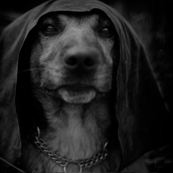 Le nouvel empereur par Laura von S