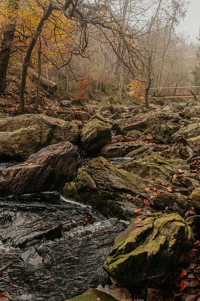 Herbst in den Ardennen von Geert Van Baelen