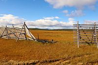 Loch im Zaun, auf dem Weg in die Freiheit