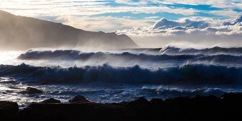 Wellen 1 (Madeira) von Bart Stappers