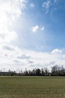 Meadow with Dutch Light