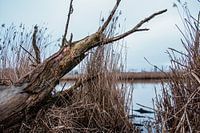 Niederlande Waterland