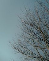 Réserve naturelle Oeffelt