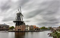 Windmühle de Adriaan in Haarlem