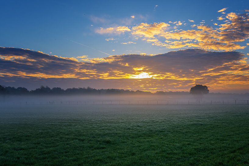 Sonne gegen Nebel II von Sander Peters