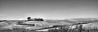 Die Toskana in schwarz-weiß